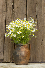 Vase with chamomile flowers