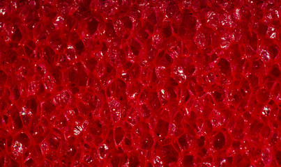 Sponge a shot in macro. Texture for graphics