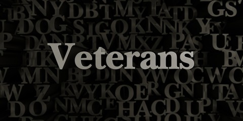 Veterans - Stock image of 3D rendered metallic typeset headline illustration.  Can be used for an online banner ad or a print postcard.