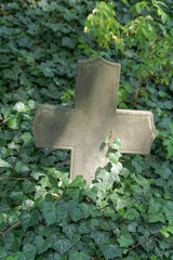 Steinkreuz im Efeu
