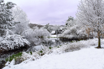 Winter Pond - 125478792