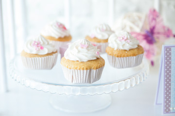 Candy bar on a birthday party or wedding