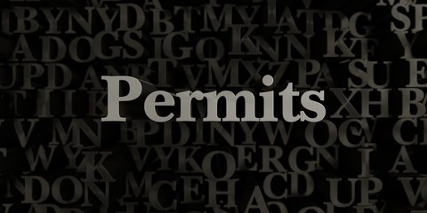 Permits - Stock image of 3D rendered metallic typeset headline illustration.  Can be used for an online banner ad or a print postcard.
