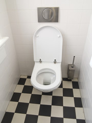 Wall mounted toilet