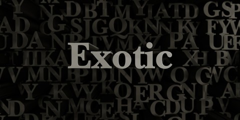 Exotic - Stock image of 3D rendered metallic typeset headline illustration.  Can be used for an online banner ad or a print postcard.