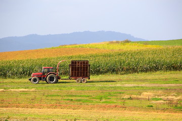 Obraz premium 北海道、美瑛の風景
