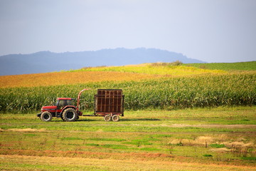 Obraz premium 北海道、美瑛の風景