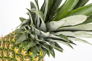 Ananas