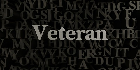 Veteran - Stock image of 3D rendered metallic typeset headline illustration.  Can be used for an online banner ad or a print postcard.