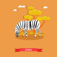 Cartoon Zebra vector in flat style. Design elements and icons. Kids book illustration