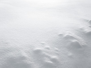 snow texture