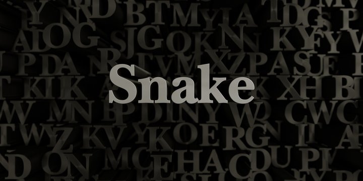 Snake - Stock image of 3D rendered metallic typeset headline illustration.  Can be used for an online banner ad or a print postcard.