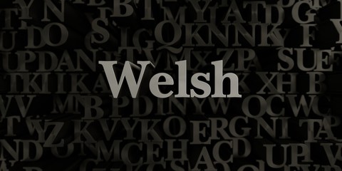 Welsh - Stock image of 3D rendered metallic typeset headline illustration.  Can be used for an online banner ad or a print postcard.