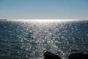 comfortable beach of the baltic sea with rocks and green vegetat