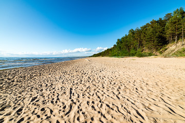 comfortable beach of the baltic sea with rocks and green vegetat