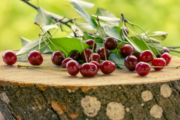 Ripe cherries lying on a wooden surface. Rustic picture. Cherry blossoms scattered on the surface. Place for text. Outdoors.