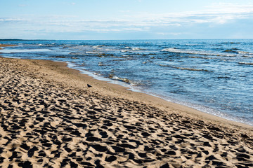 comfortable beach of the baltic sea with rocks and green vegetat
