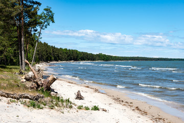 comfortable beach of the baltic sea with rocks and green vegetat - obrazy, fototapety, plakaty