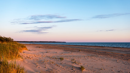 comfortable beach of the baltic sea with rocks and green vegetat