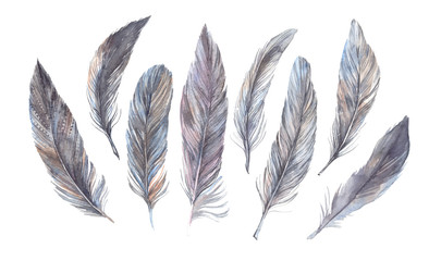 Hand drawn vintage illustration - set of watercolour feathers.