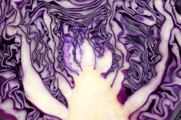 Obraz premium fresh purple cabbage