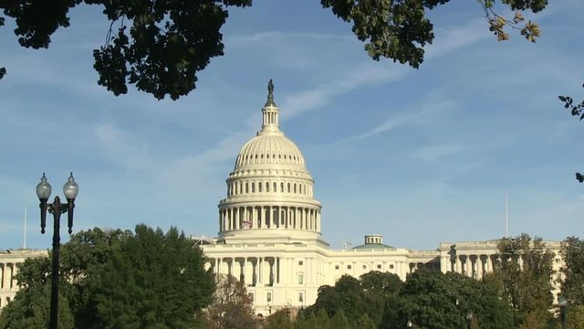 The US Capitol in Washington, DC