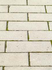 Texture of gray brick soil