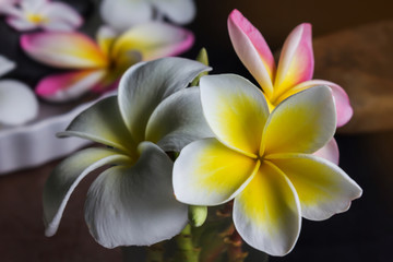 Fototapeta na wymiar Flowers plumeria or frangipani bunch in glass on dark background