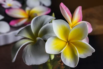 Photo sur Plexiglas Frangipanier Flowers plumeria or frangipani bunch in glass on dark background