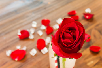 Romantic red rose valentine love theme