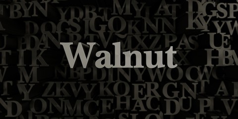 Fototapeta na wymiar Walnut - Stock image of 3D rendered metallic typeset headline illustration. Can be used for an online banner ad or a print postcard.