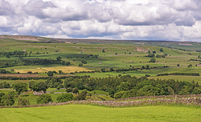 Yorkshire Dales National Park vista in Wensleydale, North Yorkshire, England