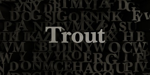 Trout - Stock image of 3D rendered metallic typeset headline illustration.  Can be used for an online banner ad or a print postcard.