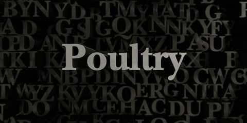 Poultry - Stock image of 3D rendered metallic typeset headline illustration.  Can be used for an online banner ad or a print postcard.