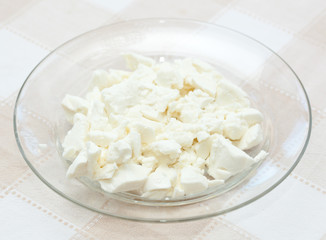 Pieces of white mozzarella