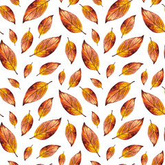 Orange watercolor autumn leaves seamless pattern, hand paint red watercolour autumn background of falling leaf, design for fabric, textile, wrapping paper, card, invitation, wallpaper, web design