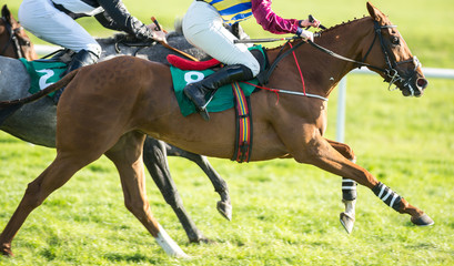 horses and jockeys speeding down the race track