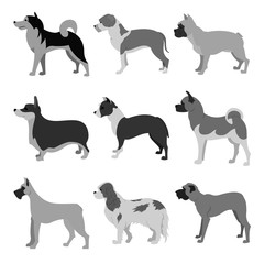Set of dog breeds