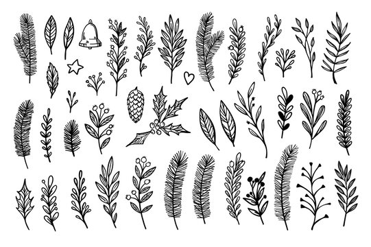 Hand sketched vector vintage elements ( laurel, frame, leaf, pointsettia)