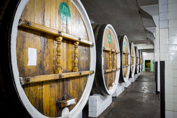 wine cellar