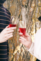 Pareja joven brindando con dos copas de vino tinto 