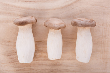 King oyster mushroom Pleurotus eryngii