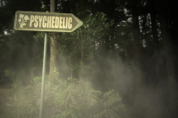 old signboard with text magic near the sinister forest