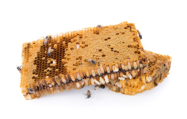 honeycomb isolated on white background