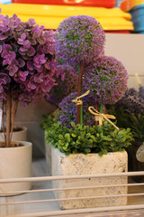 artificial flower, shop, purple, lilac, succulent