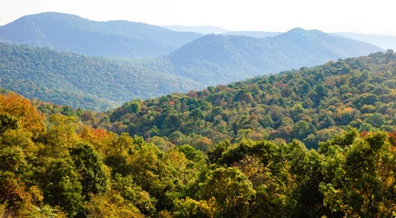 Canvas schilderij Natuurpark Shenandoah National Park  © Zack Frank