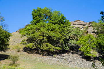 Загородный ландшафтный пейзаж.