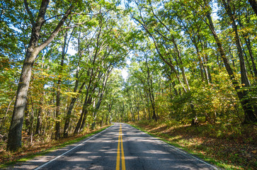 Fototapeta premium Shenandoah National Park