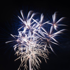 Obraz premium Colorful fire work for background