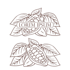 Hand drawing isolated cocoa beans.